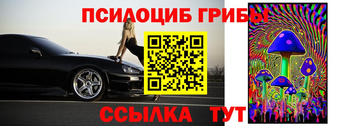 Псилоцибиновые грибы Psilocybine cubensis Ржев