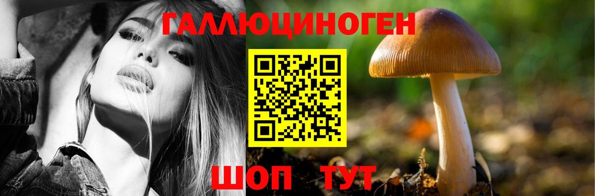 Псилоцибиновые грибы мицелий  Вход с VPN  Ржев 