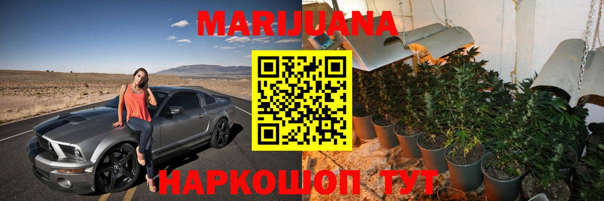 Конопля гибрид Ржев